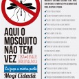 Combate ao mosquito Aedes aegypti